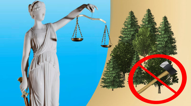 рубить лес незаконно
